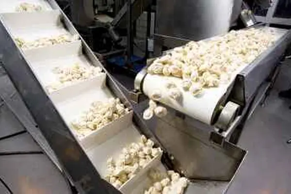 Food processing industry